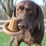 SHROOM CHEW DOG TOY Medium, by TALL TAILS®