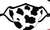 Cloth Print Mask - by GG - www.HereTodayGoneTomorrow.store