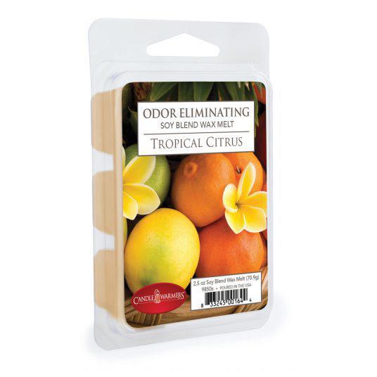 Aromatherapy Wax Melts 2.5oz.