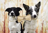 16" Wool Bone Tug Toy, by TALL TAILS® Buy at Here Today Gone Tomorrow! (Rome, GA)