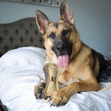 16" Wool Bone Tug Toy, by TALL TAILS® Buy at Here Today Gone Tomorrow! (Rome, GA)