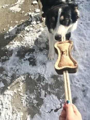 16" Wool Bone Tug Toy, by TALL TAILS® Buy at Here Today Gone Tomorrow! (Rome, GA)