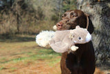 FLYING SQUIRREL DOG TOY, by TALL TAILS®