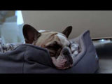 Charcoal Icon Dog Blanket, by TALL TAILS®