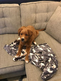Charcoal Icon Dog Blanket, by TALL TAILS®