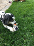 5" Duckling Squeak Toy, by TALL TAILS® Buy at Here Today Gone Tomorrow! (Rome, GA)