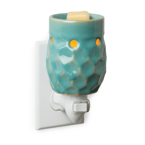 Pluggable Buy at Here Today Gone Tomorrow! (Rome, GA)