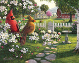 Country Life Seek and Find Puzzle -1000pc - by White Mountain