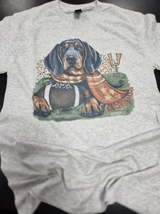 Smokey Field Tennessee Graphic T-Shirt