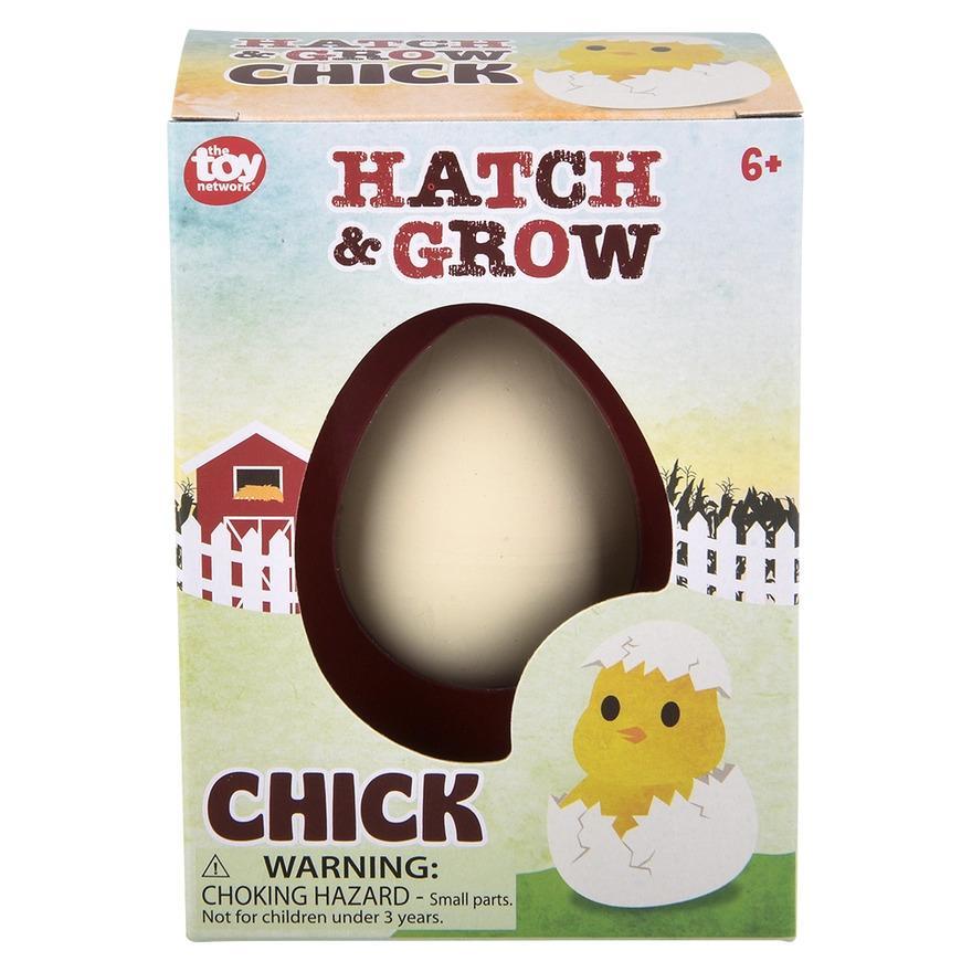 Small Hatch and Grow Chick Egg
