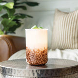Tiger Shell Glass Illumination Fragrance Warmer - by Candle Warmers Etc.