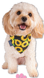 SIMPLY PUPPIES BANDANA - SWEET & SASSY PINE - by Simply Southern
