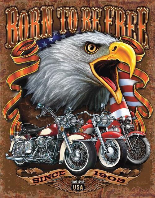 Born to Be Free - Vintage-style Tin Sign