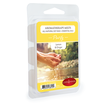 Aromatherapy Wax Melts 2.5oz. Buy at Here Today Gone Tomorrow! (Rome, GA)
