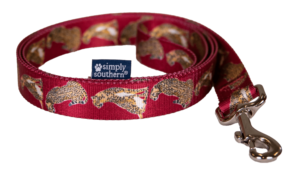 Dog Leash - Cheetah - by Simply Southern - www.HereTodayGoneTomorrow.store